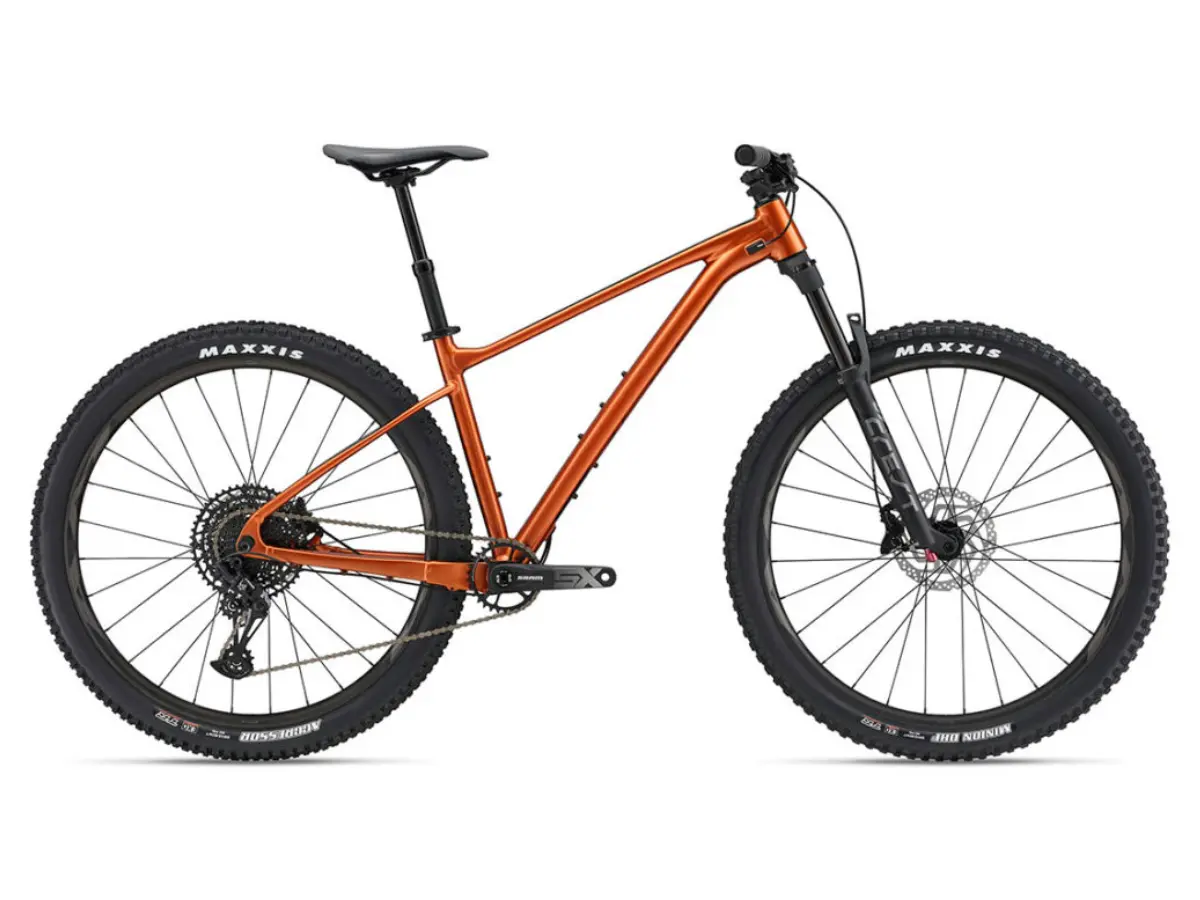 Rent Giant Fathom 29 1