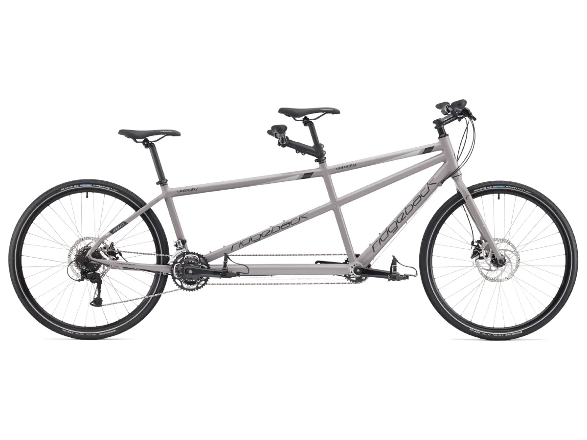 Rent Ridgeback Velocity Tandem